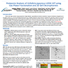 Proteomic Analysis of Cellvibrio japonicus UEDA 107 using Gas Phase Fractionation and 2D Gel Electrophoresis