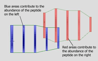 The abundance of overlapping peptides