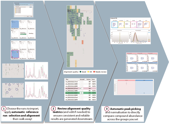 Automated processing in Progenesis QI for proteomics