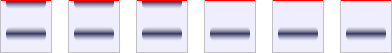 The gel slices that comprise the experiment for fraction 4