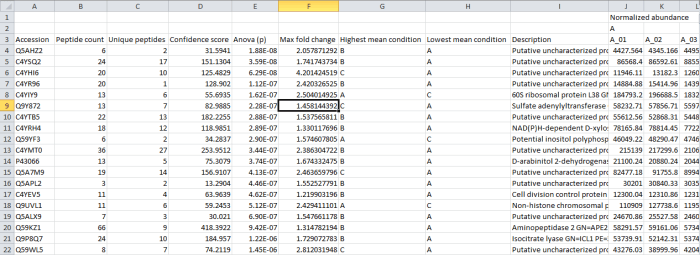 Screenshot of the csv export resulting from the Export protein measurements option.