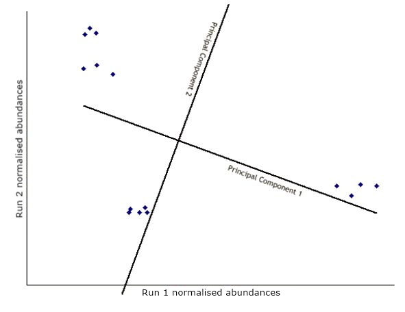 Scatter plot of the first two principal components of 62 Coffea