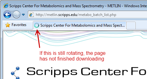 The icon that shows Internet Explorer is still downloading the results