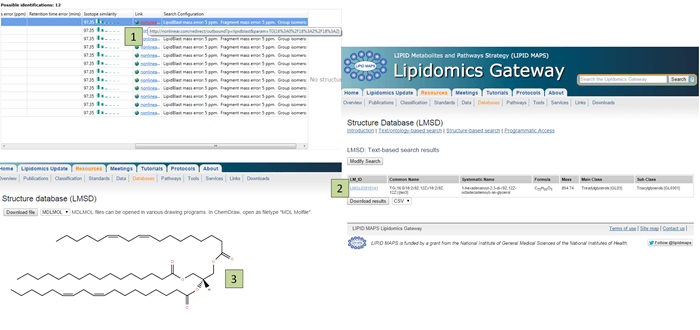 Following the link for an identification will take you to the appropriate LIPID MAPS entry, where you can view its structure