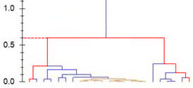 Example dendrogram