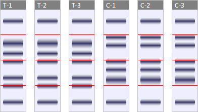 Diagram of 1D gel run with 6 samples, showing where the gel slices are made